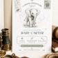 Grand adventure elephant baby shower invitation with baby elephant sketch, vintage binoculars, specimen tag, safari postage stamp, map details, and compass accents