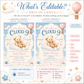 Cloud 9 baby shower invitation with a teddy bear on a cloud, hot air balloon, and stars in soft blue, pink, and gold