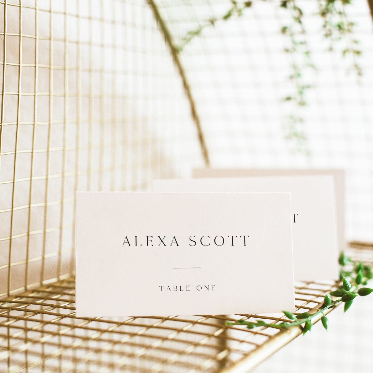 Wedding table place card featuring elegant font and table assignment | Personalized with Corjl | www.foreveryourprints.com