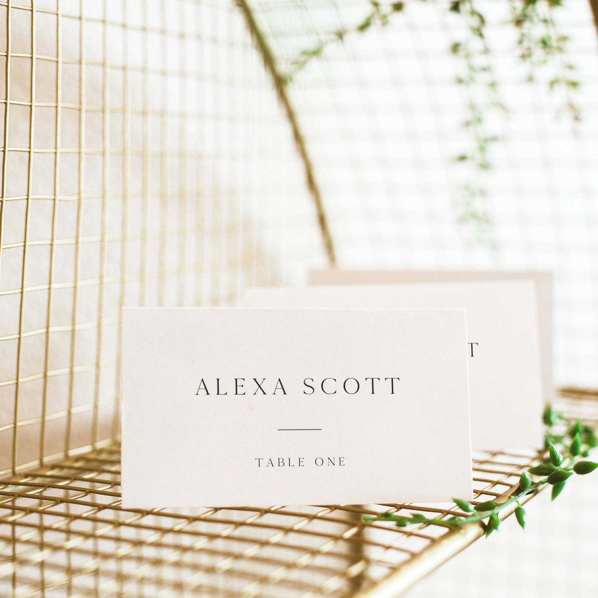 Wedding table place card featuring elegant font and table assignment | Personalized with Corjl | www.foreveryourprints.com